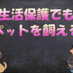 生活保護はペットを飼っていたら受けられない?【受けられます】